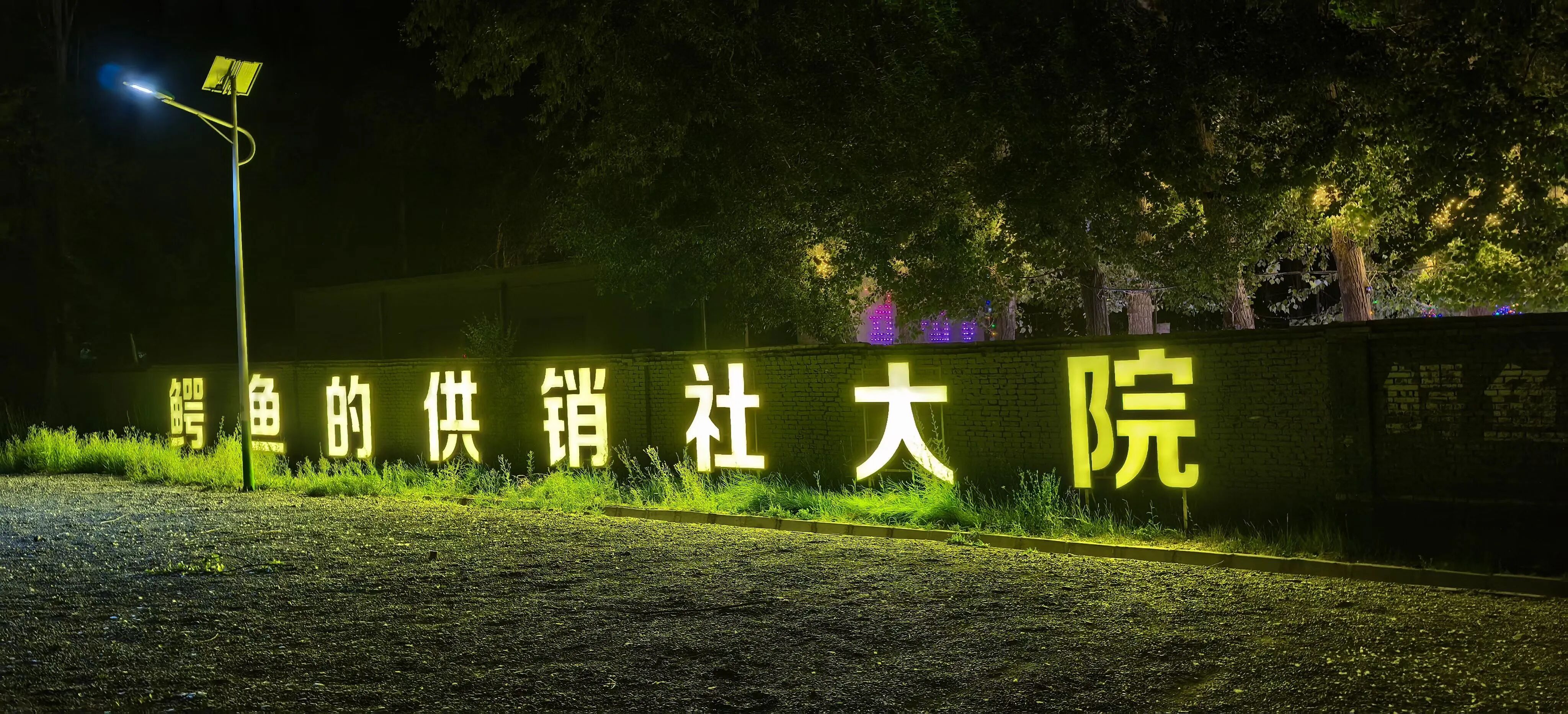 喜报 | 嘉峪关鳄鱼的供销大院成功获评国家丙级旅游民宿